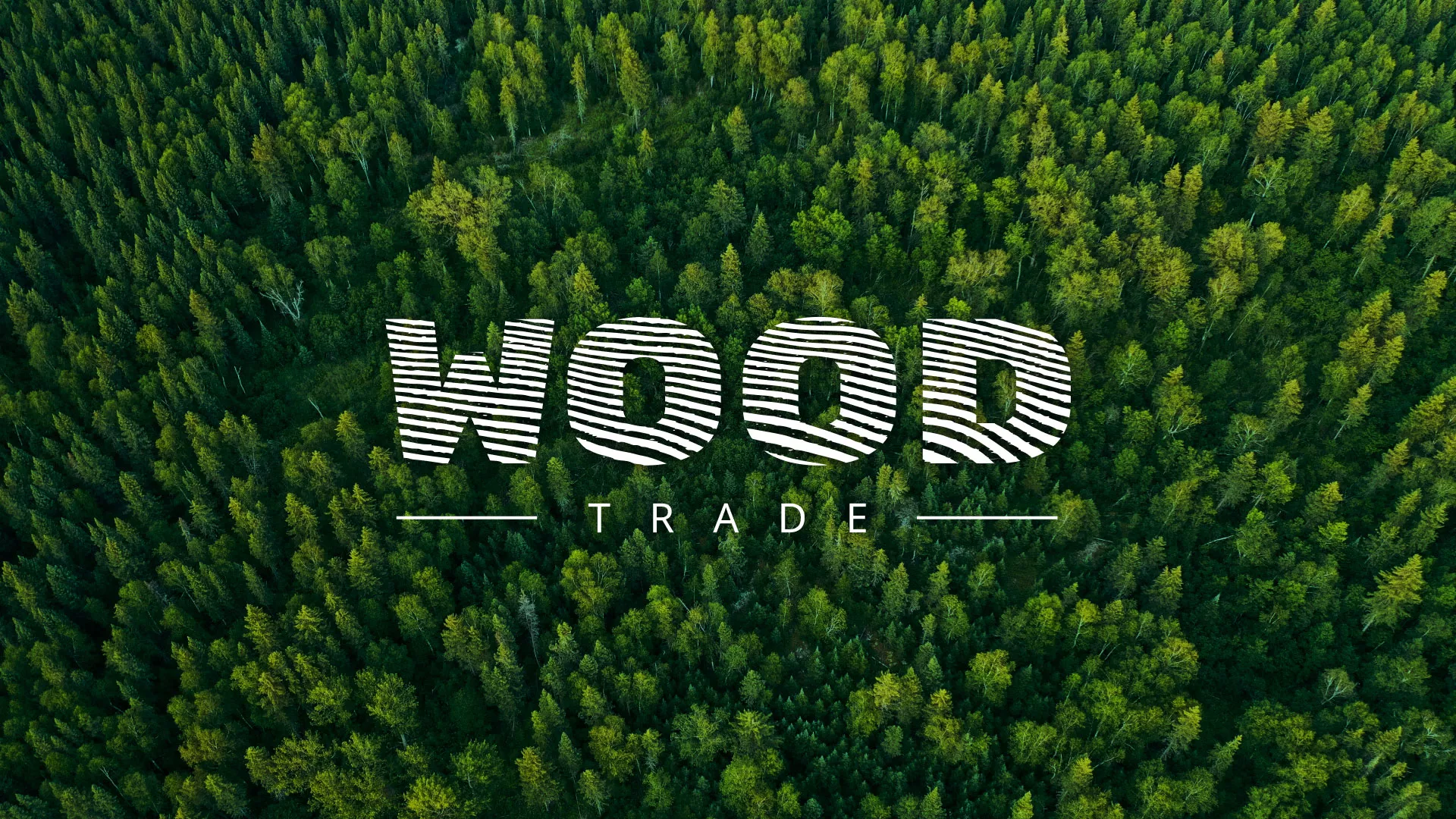 Разработка интернет-магазина компании «Wood Trade» в Хасавюрте