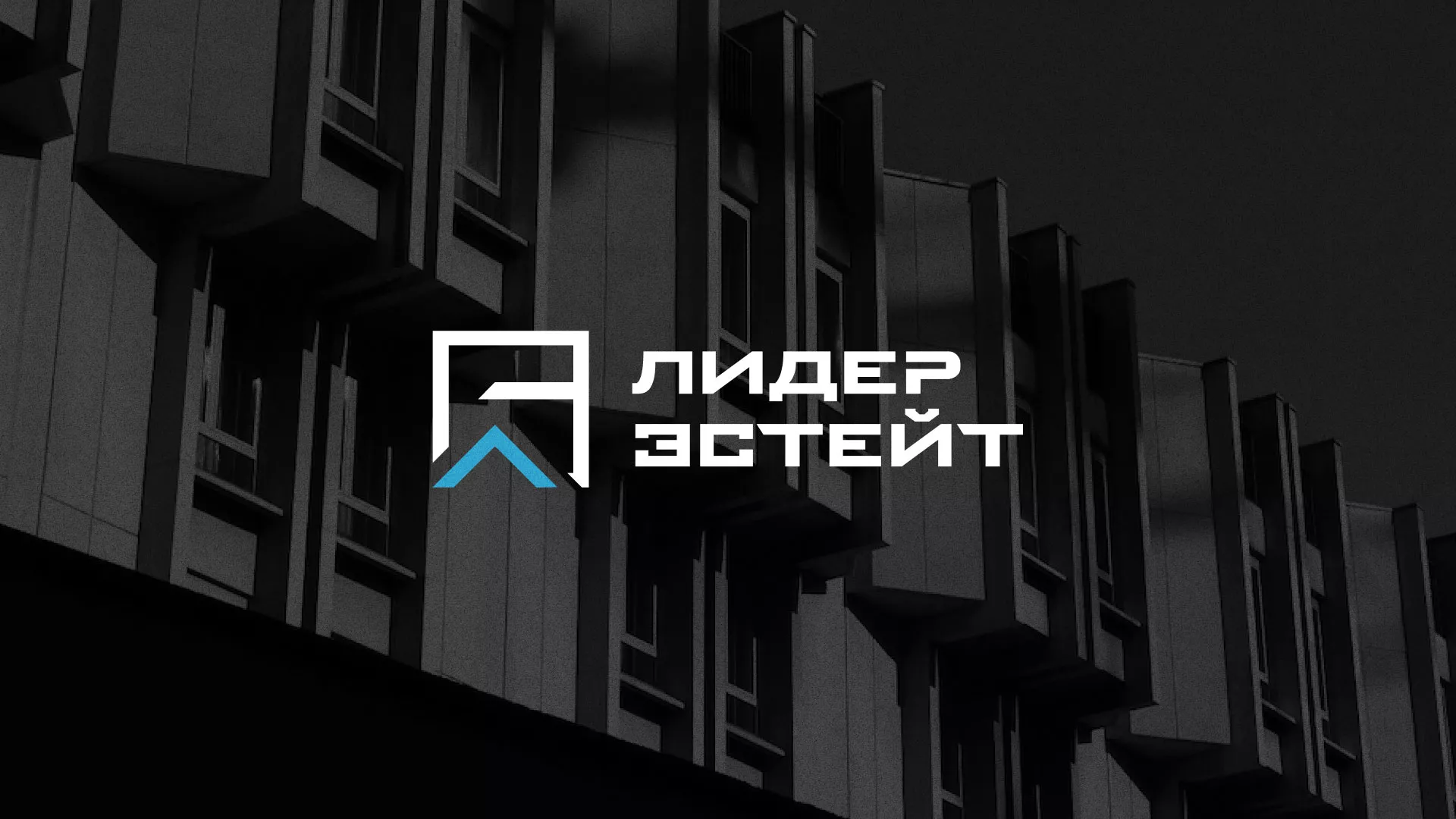 Разработка логотипа агентства недвижимости «Лидер Эстейт» в Хасавюрте